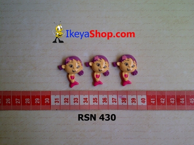 rsn 430  large2